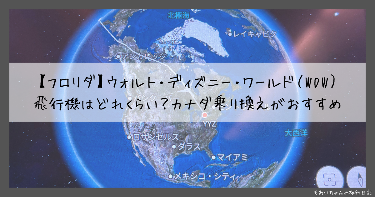 wdw飛行機