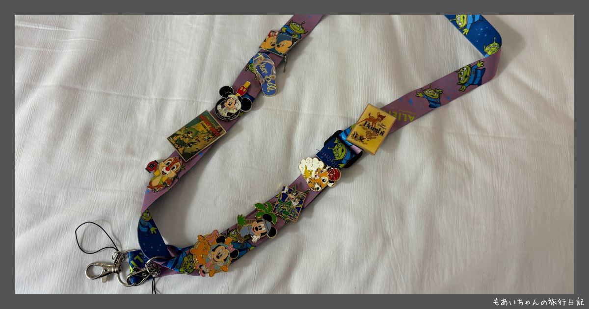 日本から用意したピントレ