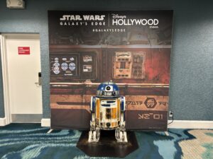 ウィンダム レイク ブエナビスタ写真スポット