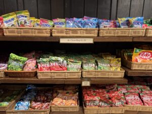 エプコット 日本