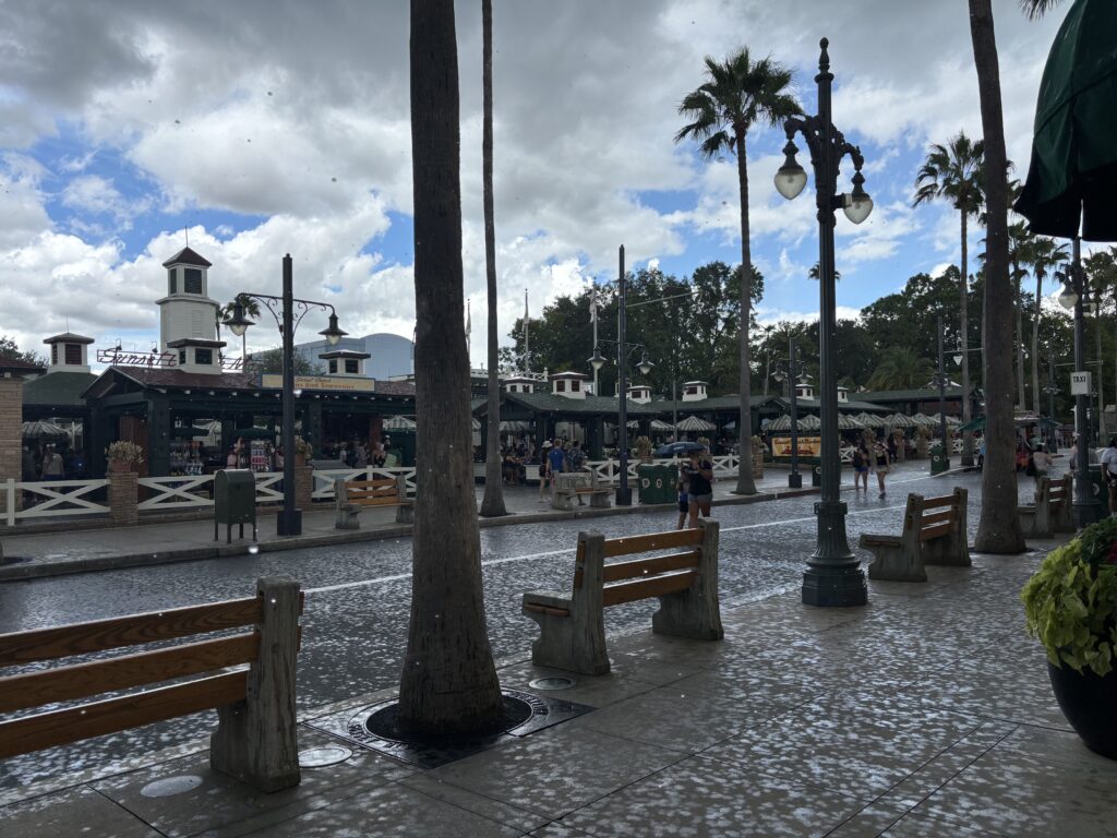 フロリダディズニーの雨